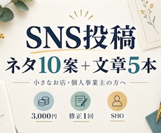 SNSの投稿ネタ10案と投稿文5本を作ります イメージ1