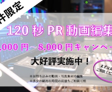 先着10件限定！！120秒動画を最安価で編集します イメージ1