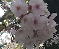 介護、恋愛、お悩み聞きます イメージ1