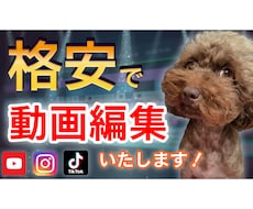 動画編集を！！！格安！！！で対応いたします イメージ1