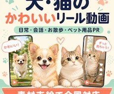 犬や猫の日常をかわいいリール動画に編集します イメージ1