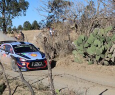 WRCラリーメキシコの写真100枚を売ります メキシコ現地の迫力ある写真と可愛らしい街並みの写真あります♪