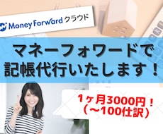 MFクラウド入力代行いたします 日商簿記２級所持の経理担当がMFクラウド記帳代行いたします！