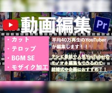 最安値 元YouTuberが編集します イメージ1