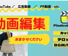 動画編集の基本的な作業をお受けします
