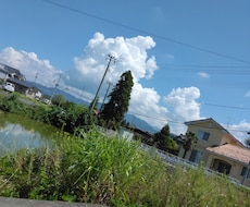 初回限定お試し版！疲れた心を癒します イメージ1