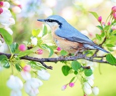 あなたの願いを叶えるはじめの一歩をサポートします イメージ1
