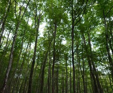 心の波を感じながら静かに寄り添います あなたの気づいていなかった感情に出会うかも。