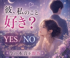 彼の本音をYES／NOではっきり視ます イメージ1
