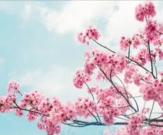 タロット♡数秘術で占います イメージ1