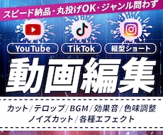 1分以内の動画編集5本まで承ります イメージ1