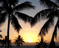 ニューカレドニアのヌメア旅行をサポートします イメージ1
