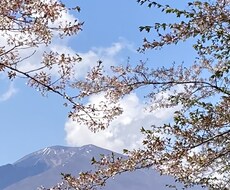 気持ちを軽く軽くします イメージ1