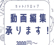 カット　字幕挿入などを承ります イメージ1