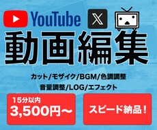 YouTube/その他各種動画編集をします イメージ1