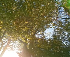 心がほっとするお手伝いさせて頂きます イメージ1