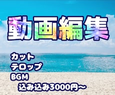 動画　テロップ、カット、編集致します ご希望の動画の実現に協力させていただきます！
