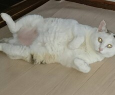 皆さんと似た悩み、愚痴僕自身も結構あります