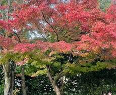 何気ない日にもお話相手になります イメージ1