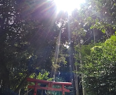 やり取りの中で　降りてきた過去世の姿をお伝えします イメージ1