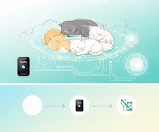 愛する猫ちゃんへの「周波数お守りケア」❤ます イメージ1