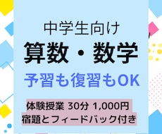 体験授業割引！中学生の算数・数学のレッスンをします 小学範囲からの“復習”、先取りのための“予習”に対応！