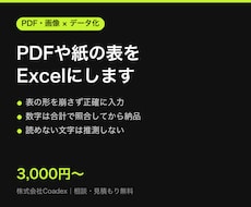 PDFや画像の表をExcelにデータ化します イメージ1