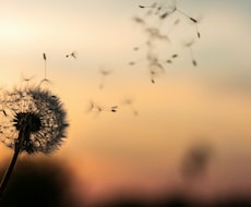 悩んだとき、あなたの次の最善のアクションを示します イメージ1