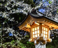 様々なスチルでの撮影を行います イメージ1