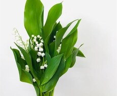 あなたが明るくなれない時お話し聞きます イメージ1