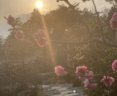 歌手志望の方や曲を作りたい人に歌詞を提供します イメージ1