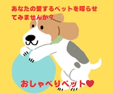 笑顔を届けるペット動画を作成します イメージ1
