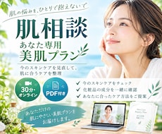 肌相談＆あなた専用美肌プランPDFを作成します その化粧品、肌に合ってる？成分からスキンケアを見直します。