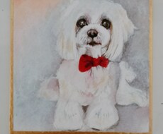 ペットちゃんをミニ色紙に描きます 【アナログ原画】世界で１枚だけの特別な豆色紙