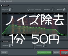 ノイズ除去おこないます イメージ1