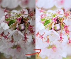 レタッチで写真をより美しくします イメージ1