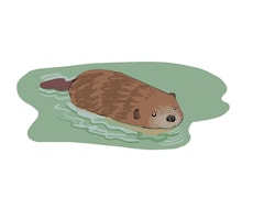 ご希望の題材をイラストに起こします なんでもお気軽にご相談ください！