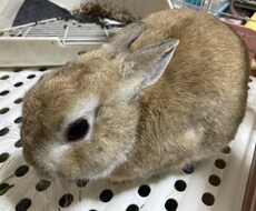 些細なことでもお話しおきかせください！力になります イメージ1