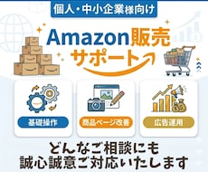 Amazon販売を30日間サポートいたします イメージ1