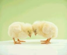 子育てや恋愛相談、どんなお話でも伺います イメージ1