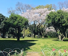 あなたの人生の話をじっくり聴き、一緒に考えます 一人で道を切り拓いてきたあなたと、次の一歩を対話で紡ぎます