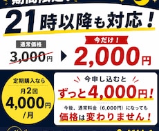 期間限定割引！２１時以降の夜ボイトレも対応します 期間が終わっても定期購入なら料金そのまま！