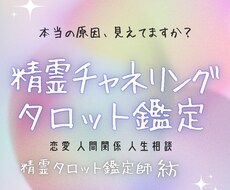 恋愛・人間関係・人生｜精霊タロットで本質を視ます イメージ1