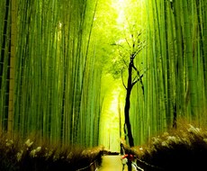 あなたのお話しに寄り添い、心の重みを軽くします イメージ1