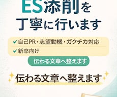 ES・自己PR・志望動機を丁寧に添削します イメージ1