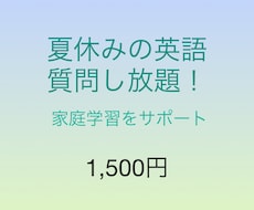 夏休みの英語の家庭学習サポートします 早稲田出身講師が丁寧に教えます！