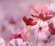 ４人の子育て中の31歳ママです。お話し聞きます イメージ1