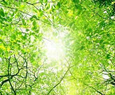 その心のモヤモヤ、全部吐き出すとすっきりします イメージ1