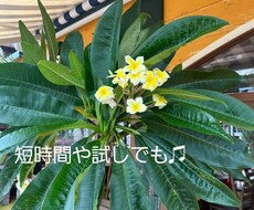誰かと話したい時や悩みごとがあるとき、お話聞きます イメージ1