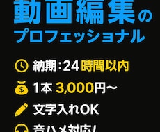 TikTok納品いたします イメージ1